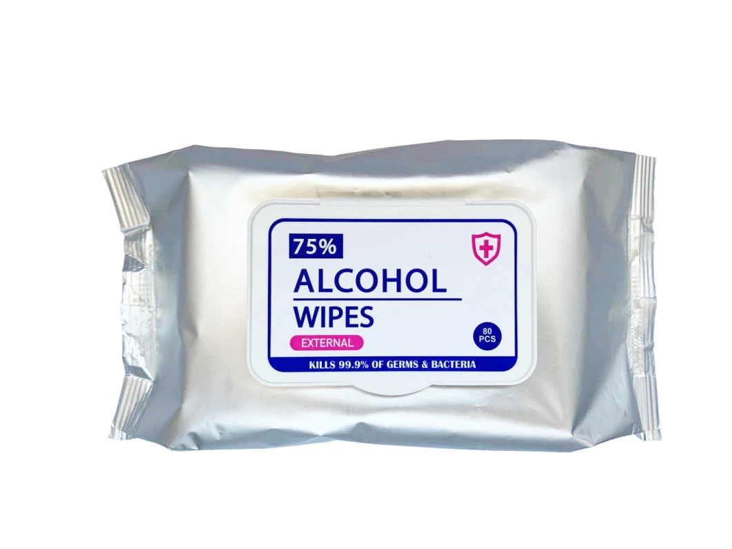 OEM Disinfectant Wet Tissue Wipes Cleaning Fresh Hand Sanitizer Wipes