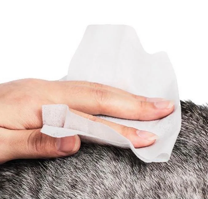 Custom Material Non-Woven Non-Alcohol Dog & Cat Clean OEM Pet Wipes