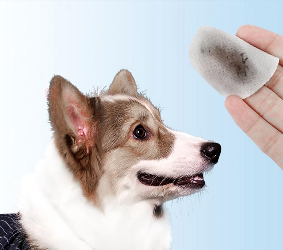 Portable Remove Tear Stain Pet Eye Wipes Eco Friendly OEM Dog and Cat Wet Wipes