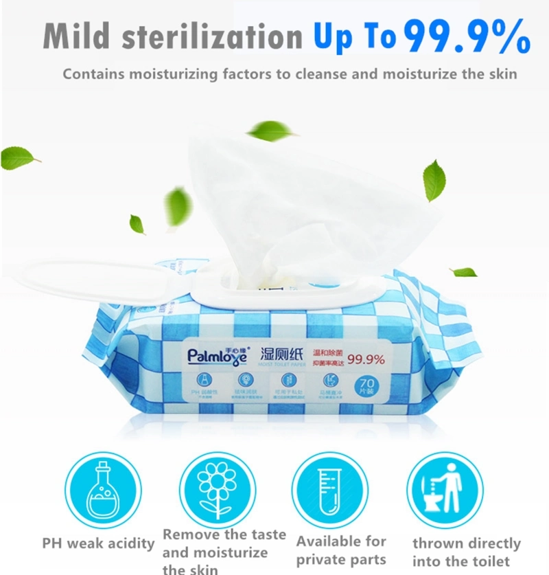 Palmlove OEM Antibacterial Flushable Moist Disposable Toilet Wipes for Adults