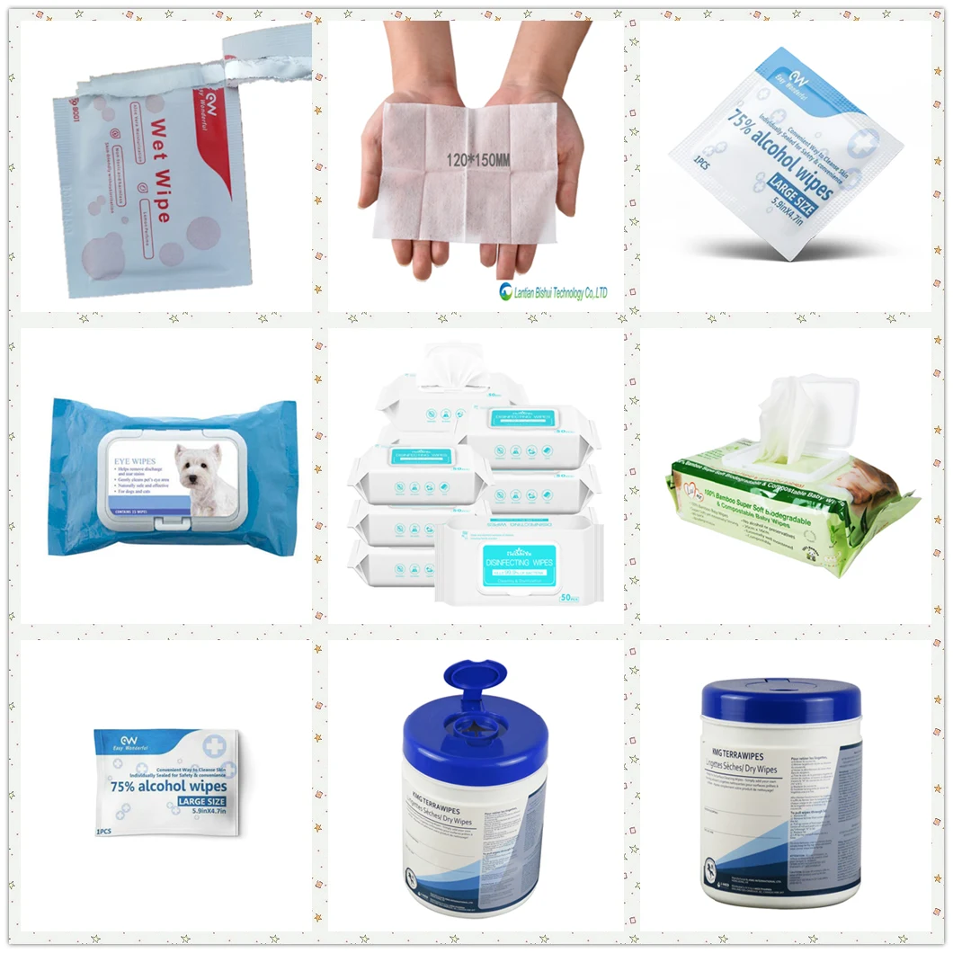 Portable Wet Wipes 100PCS a Canister Adults Cleaning Household Non-Woven in Stock Ready to Ship