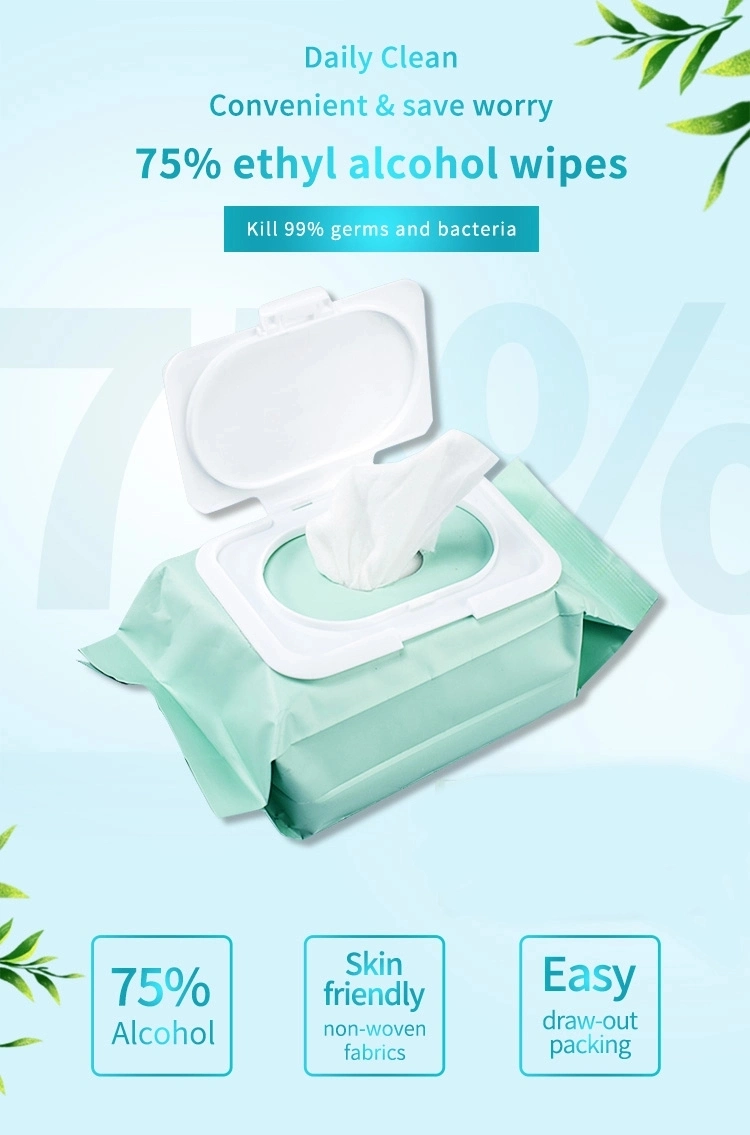 Customized Natural Cleansing Wipes Reusable Cleaning Wipe Biodegradable Flushable Wet Wipe