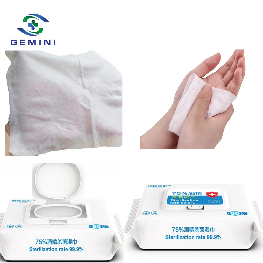 Antibacterial Cleaning Sanitary Wipes Anti Virus 75% Alcohol Wet Wipes (GPSW-002)