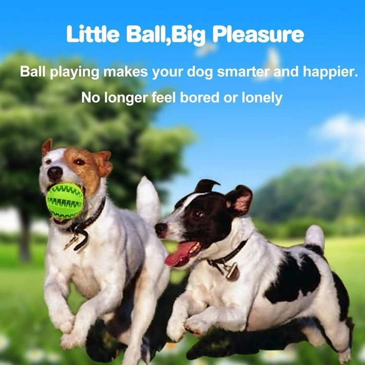 Dog Treat Ball Interactive Chew Resist Toys Teeth Cleaning Toy Molar