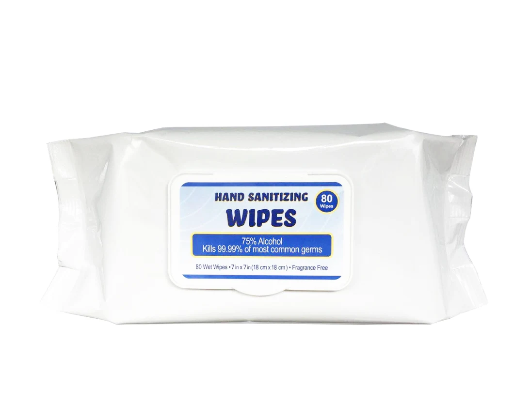OEM Disinfectant Wet Tissue Wipes Cleaning Fresh Hand Sanitizer Wipes