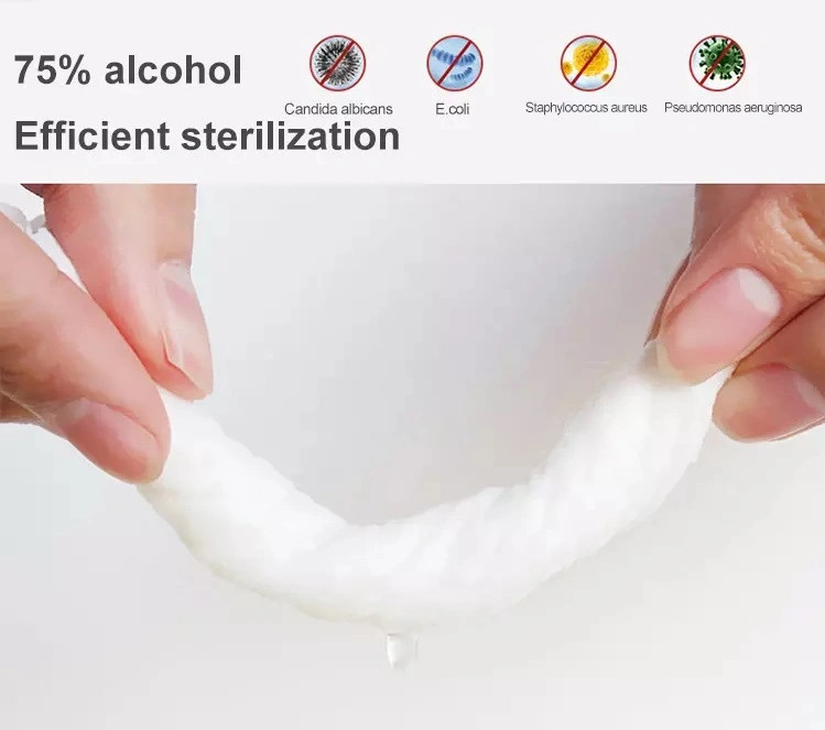 Wholesale Alcoholic Sterilized Wipes Disinfectant Wet Wipes