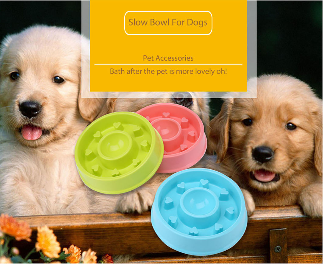 Best Slow Eating Dog Bowl/Cute Dog Bowls/Green Dog Bowl
