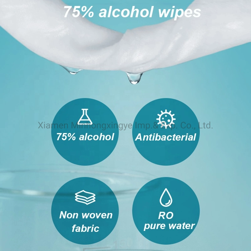 Popular Household Cleaning Disinfect Wipes Kill Germs Wet Wipes