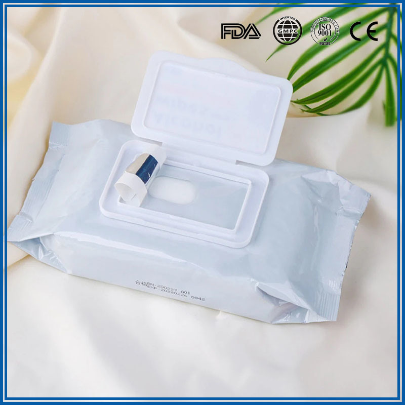 OEM Hot Sale Cleaning Wipes Flushable Adult Hygiene Wet Tissue