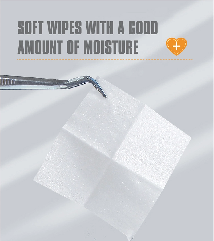Cleaning Moist Wipes Flushable and Biodegradable Wet Wipes