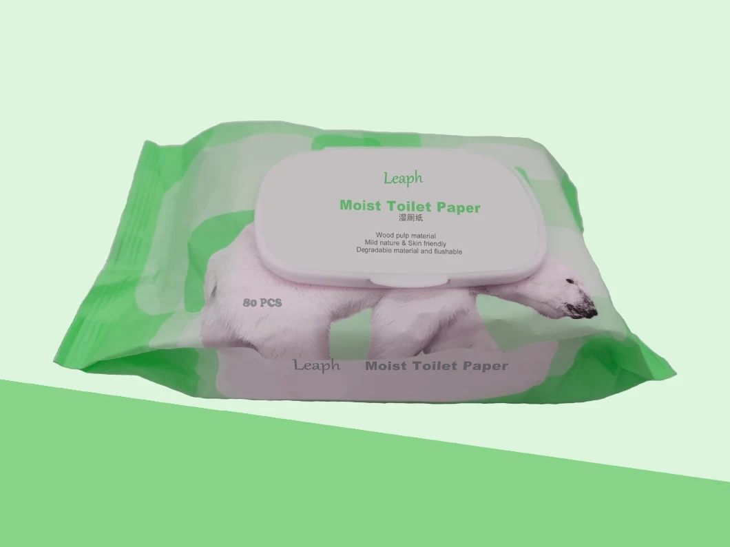 Chinese Big Pack Flushable Hot Sell Wholesale Wood Pulp Moist Toilet Paper Wet Wipes (SM-0902)