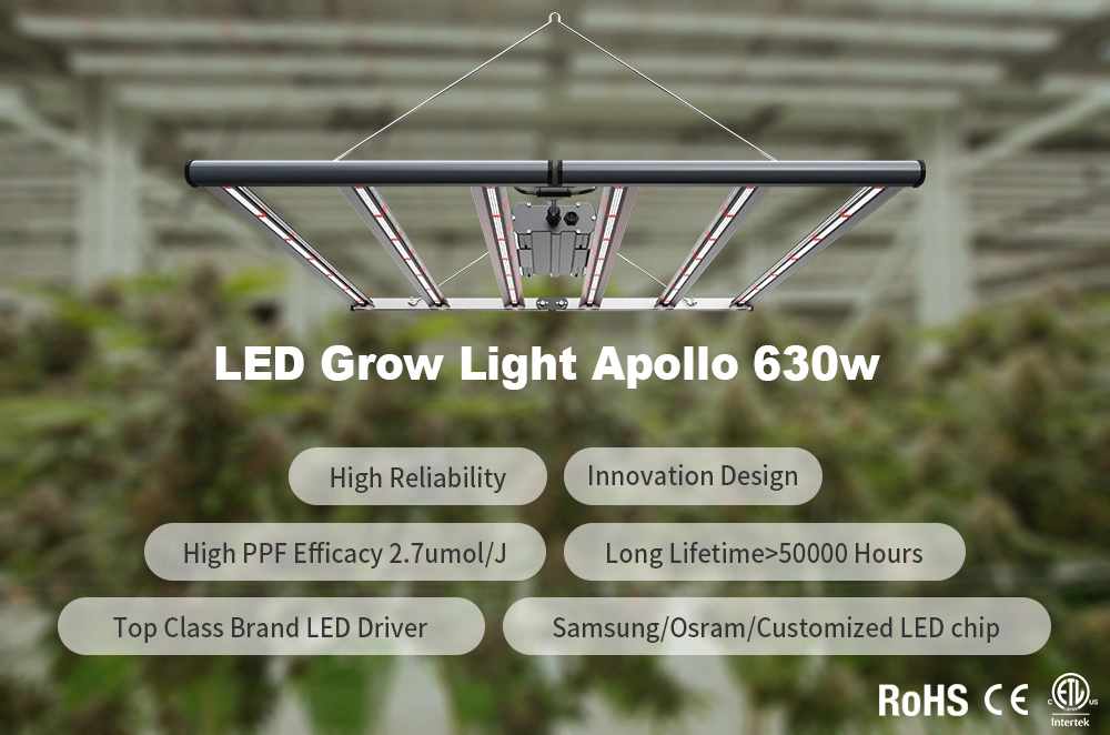 New Arrival 347V 630W Foldable LED Grow Light, LED Horticultural Light Fluence Spydr Replacement for Indoors