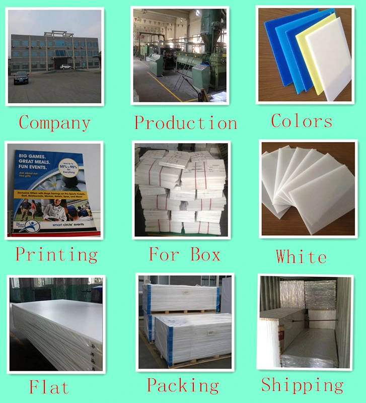 White PP Coroplast Plastic Sheet PP Hollow Plastic Sheet