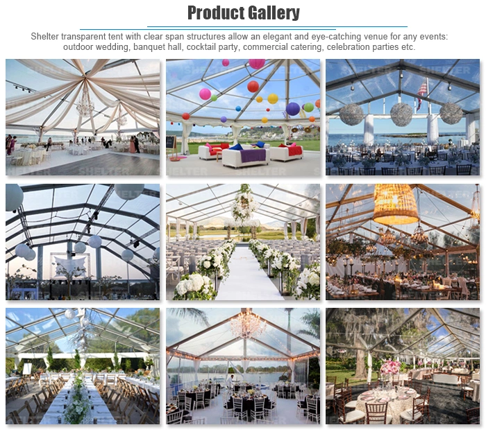 Shelter Tent Has 16 Years of Experience in The Special Event Tents Structure Industry for Sale