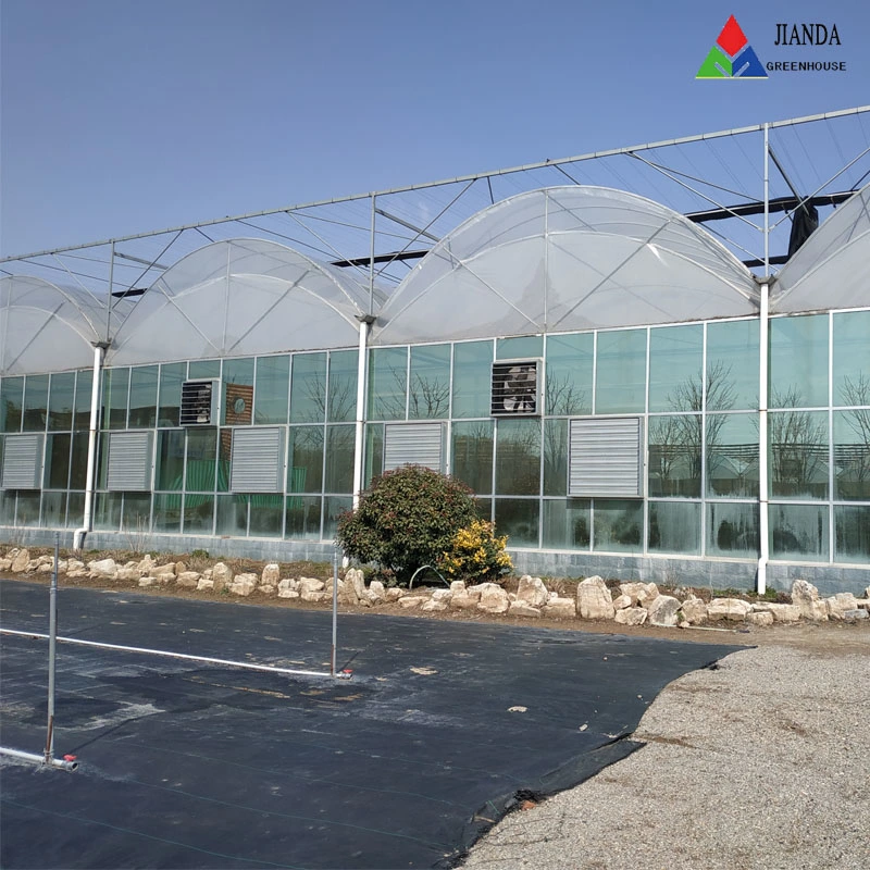 Custom Made Professional Glasses /Film Greenhouse Tents for Planting Crops