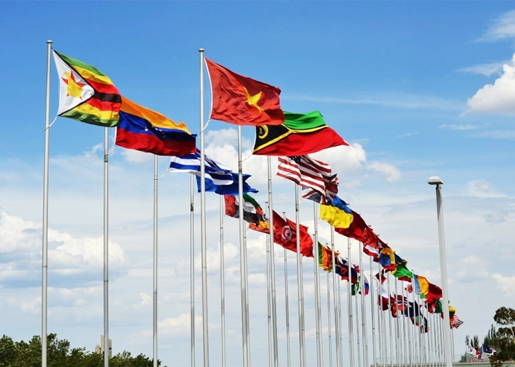 Flag Wholesale National Flags of Different Countries Polyester Flags Flag Factory