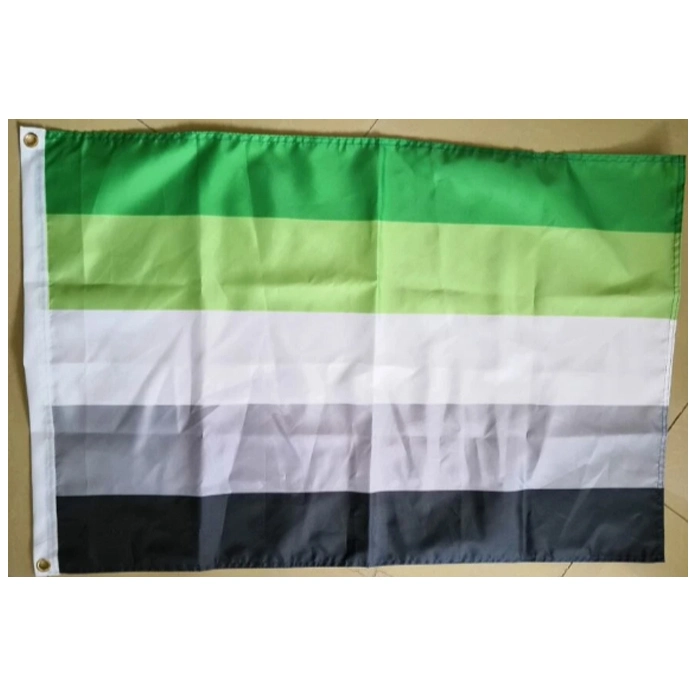 Outdoor Indoor Vivid Color 100% Polyester 3X5FT Custom Printed Gay Pride Lgbt Flags Banners