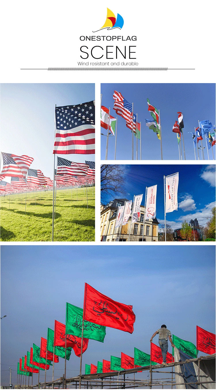 Flag Wholesale National Flags of Different Countries Polyester Flags Flag Factory