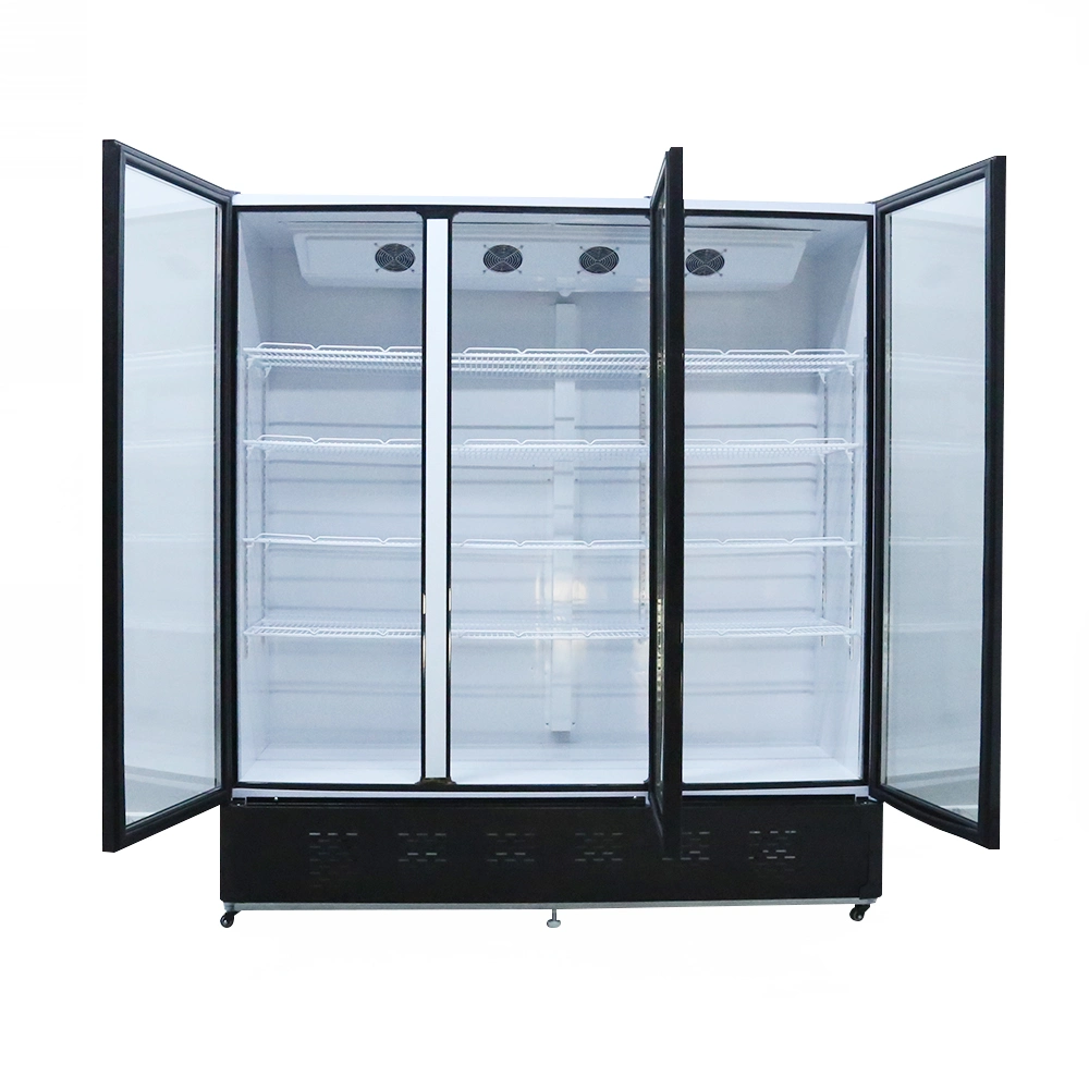 Big Capacity Dynamic Cooling Display Showcase Supermarket Double Door Upright Freezer with No Canopy