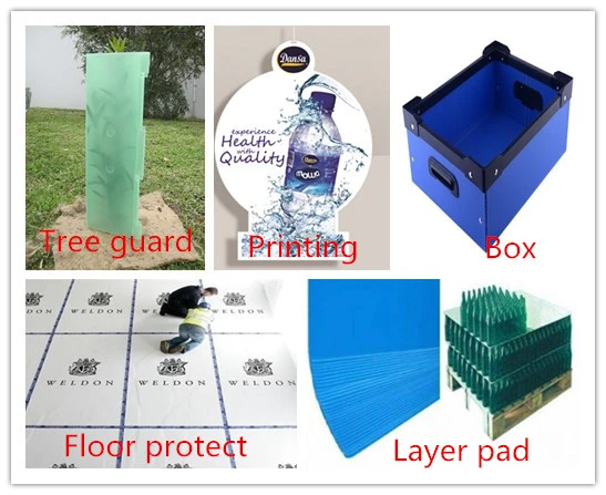 Any Colors Plastic Corrugated Plastic Sheet PP Hollow Sheet