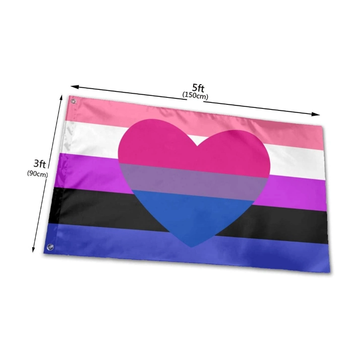 Outdoor Indoor Vivid Color 100% Polyester 3X5FT Custom Printed Gay Pride Lgbt Flags Banners