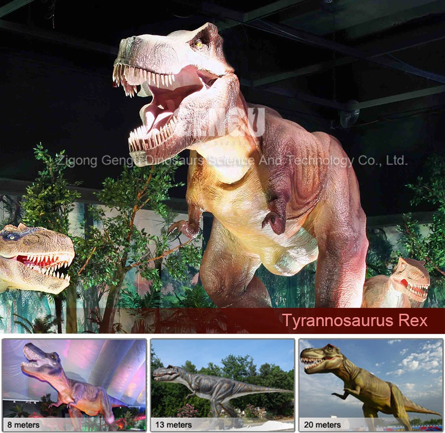 Indoor Realistic Model Dinosaur Exhibit