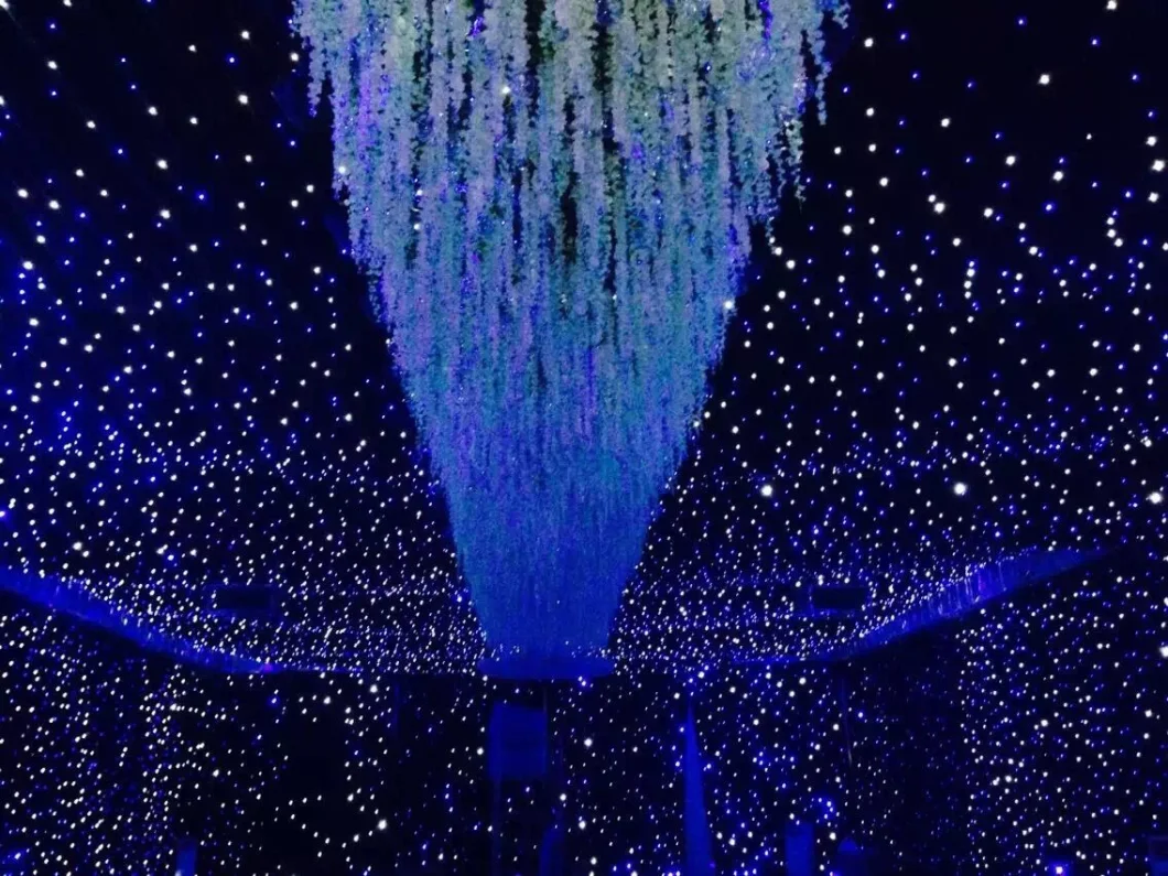 4X5m Bw LED Star Curtain for Party Wedding Backdrops