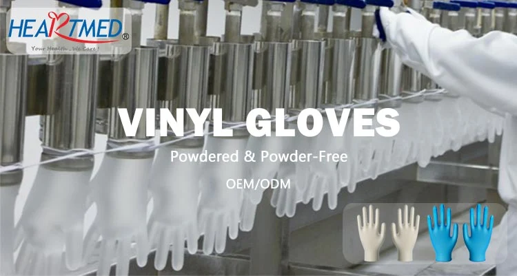 Blue/Clear Color Vinyl Disposable Gloves for Food Handling/Household Cleaning