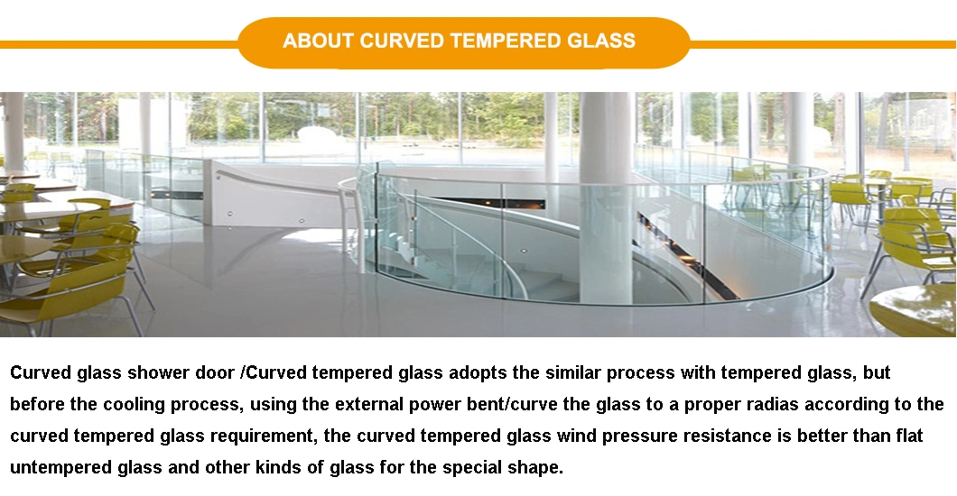 8mm 10mm 12mm Curved Tempered Glass Curved Shower Walls
