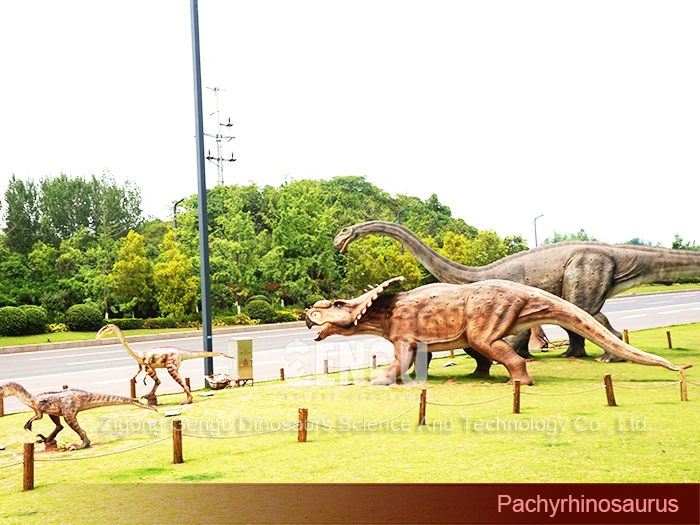 Dinosaur for Park Life-Size Pachyrhinosaurus Exhibit Dinosaur