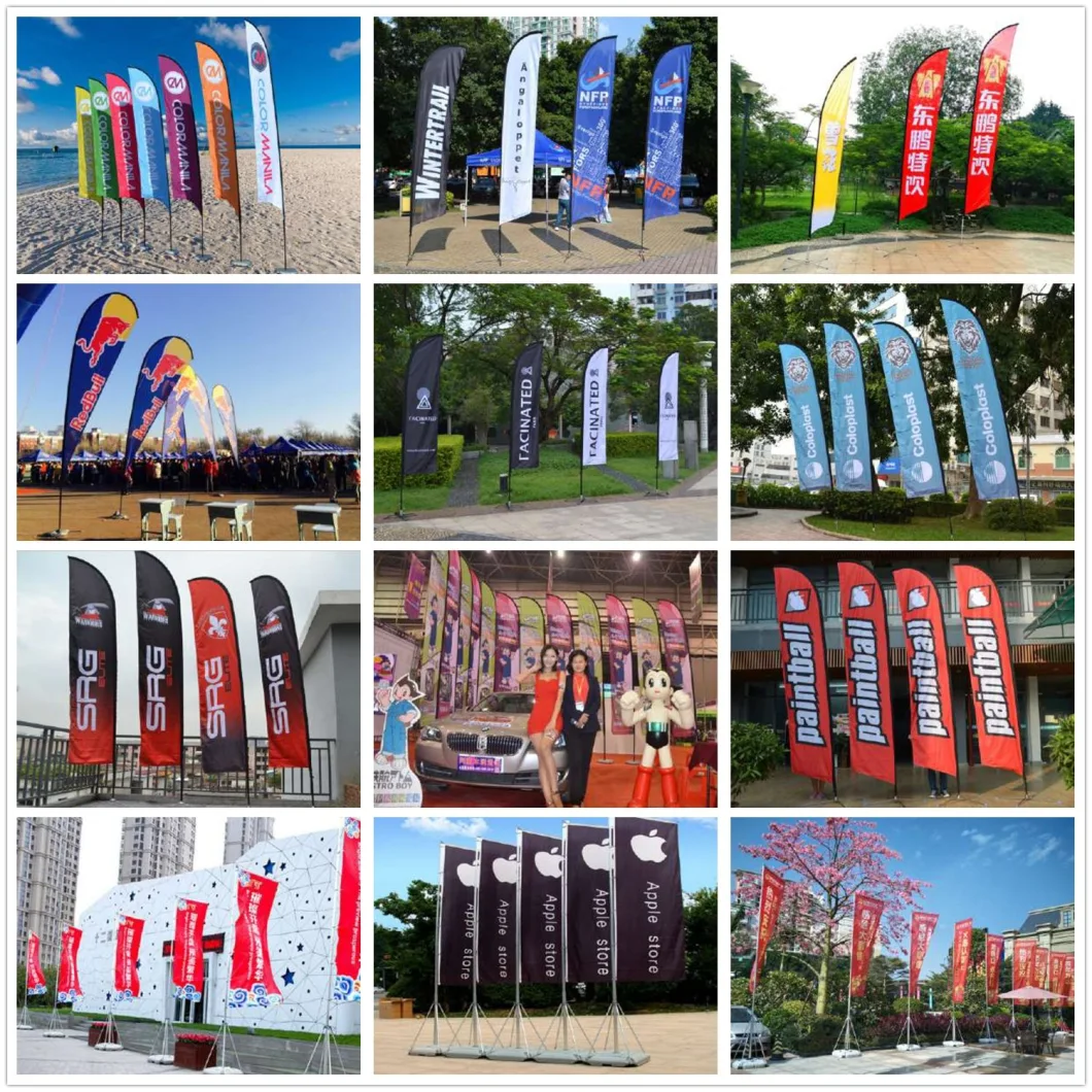 All Color Digital Printing Wholesale Polyester Flying Custom Flags and Banners-W00109