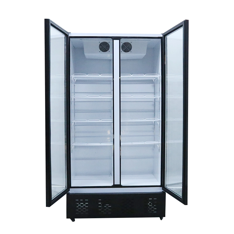 Big Capacity Dynamic Cooling Display Showcase Supermarket Double Door Upright Freezer with No Canopy