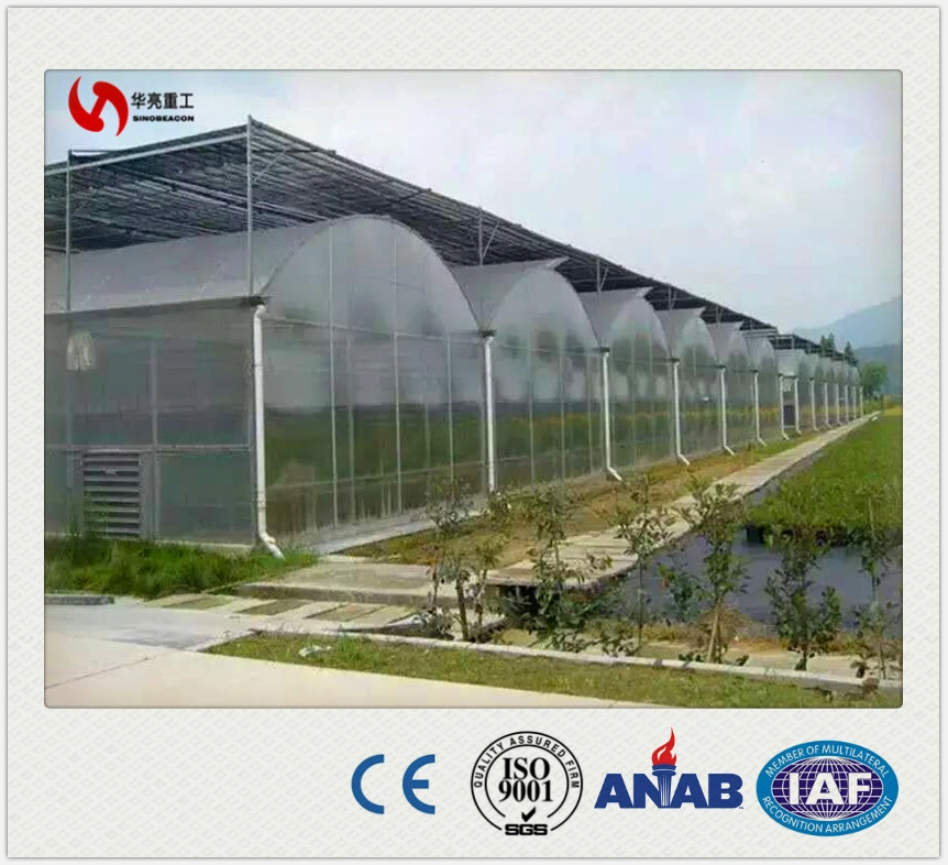 High UV Protection Film Tunnel Plastic Sunlight Greenhouse for Sale