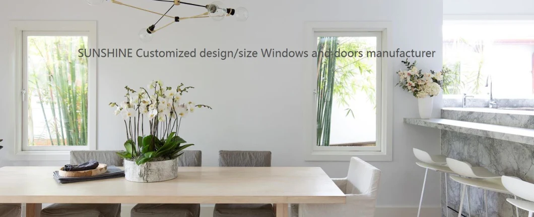UPVC/PVC Double Glazed Sliding Windows for Home