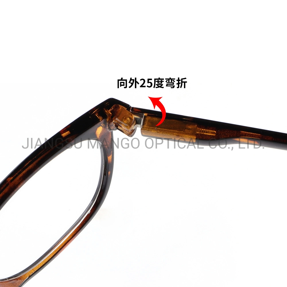 Spring Hinge Eyewear Frame Reading Glasses Optical Frame