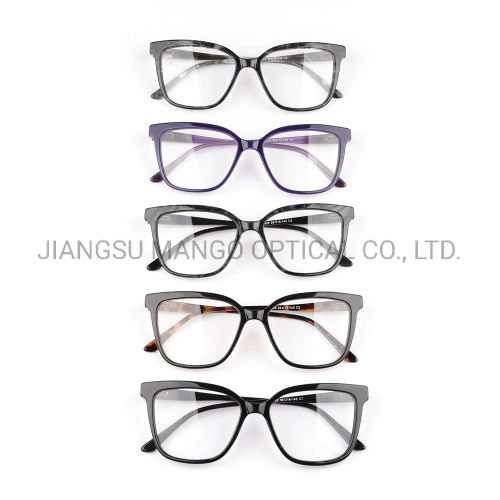 Spring Hinge Eyeglasses Acetate Optical Frame Eyewear Frame