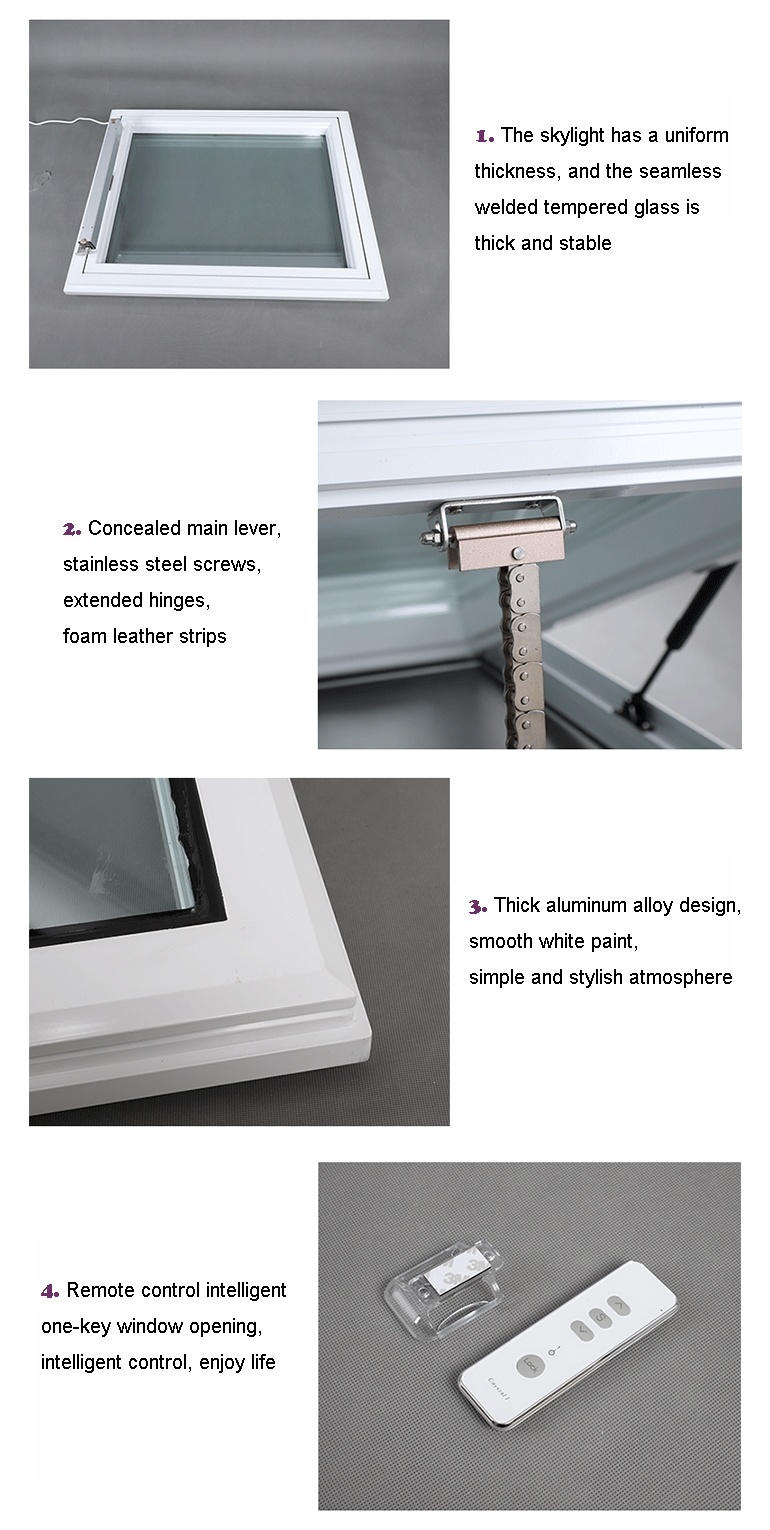 Aluminum Custom Transom Pivot Skylight Roof Awning Window