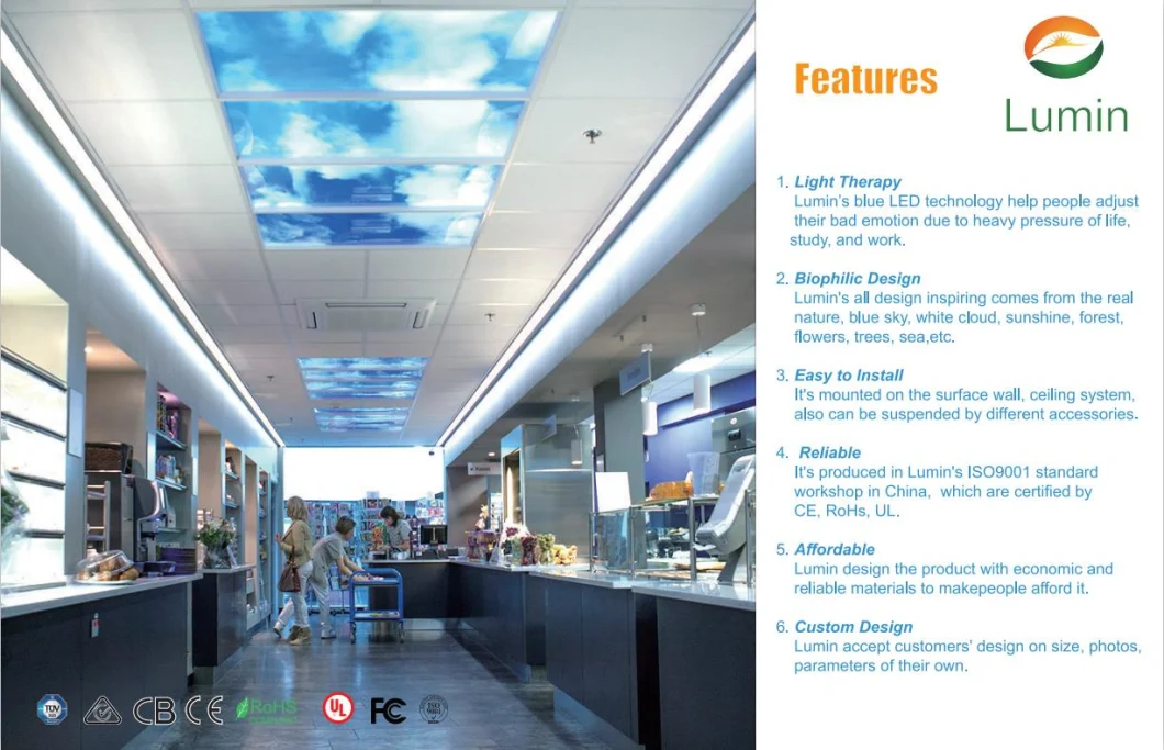 Artificial Sky - LED Skylights, Virtual Sky LED Lights