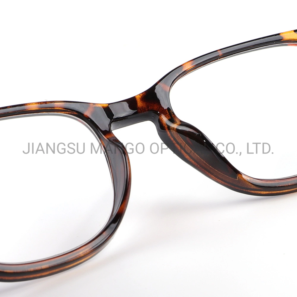 Spring Hinge Eyewear Frame Reading Glasses Optical Frame