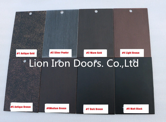 Iron French Door Design Steel French Entry Door with Fixed Windows
