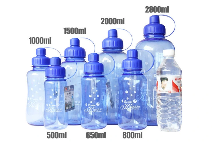 2000ml Plastic Water Bottle with Tea Infuser