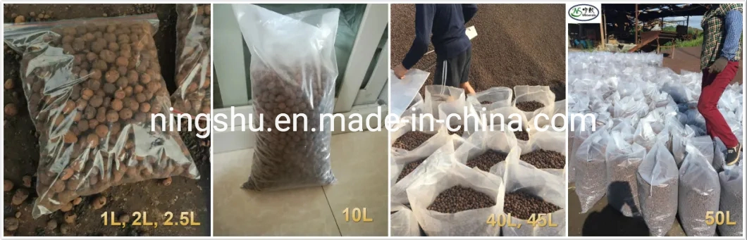 Gardening Plants Expanded Clay Pellets Grow Media 8-16mm