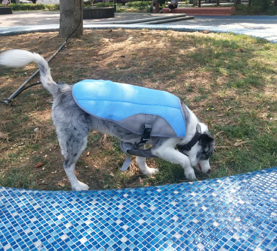 Reflective Pet Cooling Coat Cool Summer Dog Coat Pet Dog Vest Jacket Dog Ice Coat Esg12714