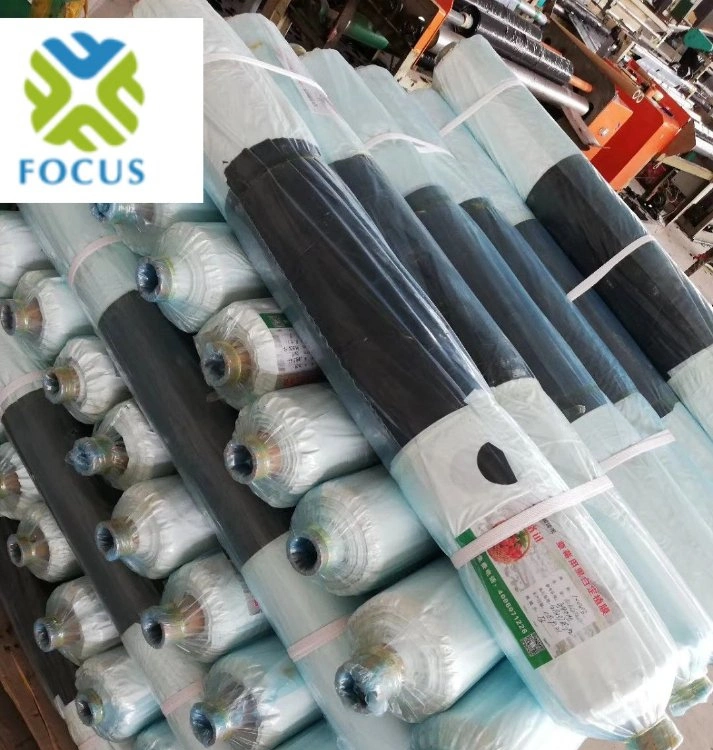15/20 Micron Plastic Film Metallized CPP PE Reflective Film Mulch Film for Agricultural Use