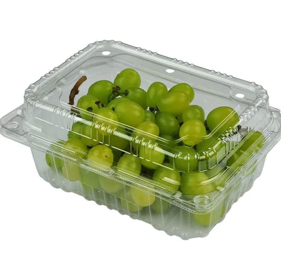 Disposable Transparent Fruit Tray Strawberry Vegetables Fresh Packaging Plastic Box Transparent Supermarket Packaging with Lid