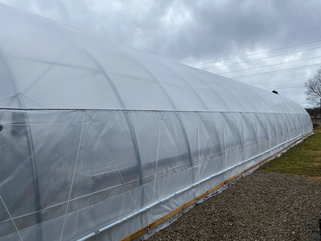 Tunel Agricultural Polyethylene/Plastic Film /Po Film Hydroponics Irrigation System Plastic Film Greenhouse for Sale