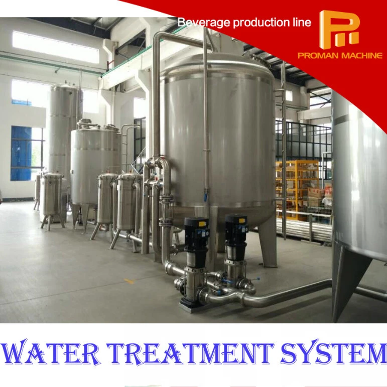 6000L Pure Water Purification Treatment Machine/Water Treatment System