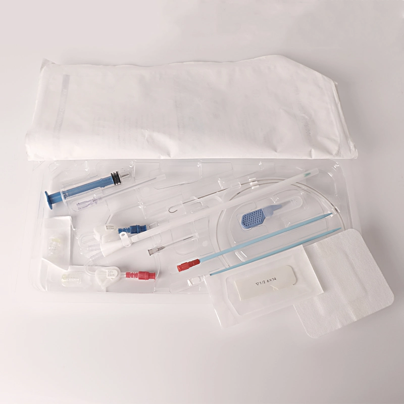 High Quality Disposable Blood Purification Series Medical Hemodialysis Catheter
