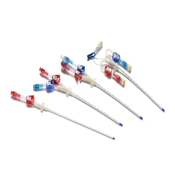 High Quality Disposable Blood Purification Series Medical Hemodialysis Catheter (1/2/3 Lumen)