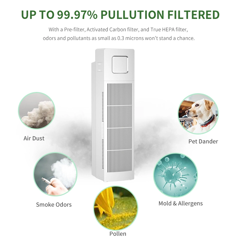 Backnature Wholesale Best Air Purifier From Professional OEM Air Purifier Factory Since 2005